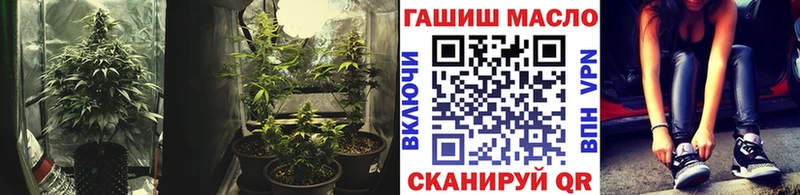 цена   даркнет состав  Дистиллят ТГК гашишное масло  Заполярный 