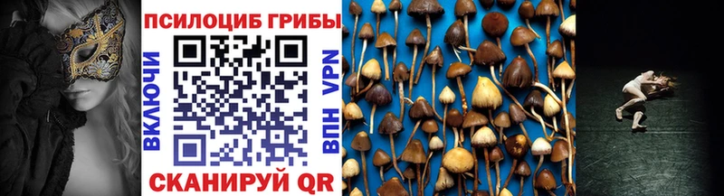 купить закладку  kraken зеркало  Галлюциногенные грибы MAGIC MUSHROOMS  Заполярный 