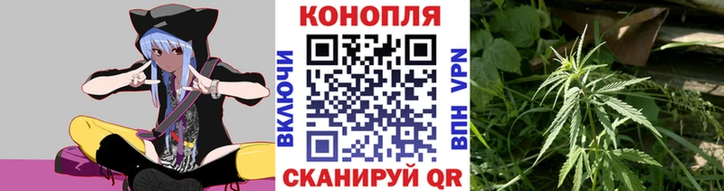 Конопля сатива  где купить   darknet формула  Заполярный  гидра ТОР 